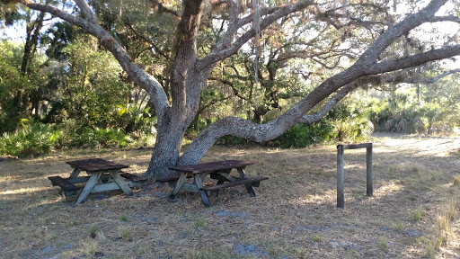Myakka River State Park Horse Camp - Thumbnail