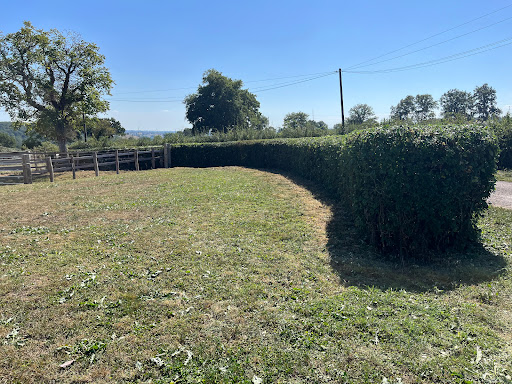 Photo de BALLANDRAS SAS Agenceur de votre extérieur à Saint-Nizier-sous-Charlieu (42190)