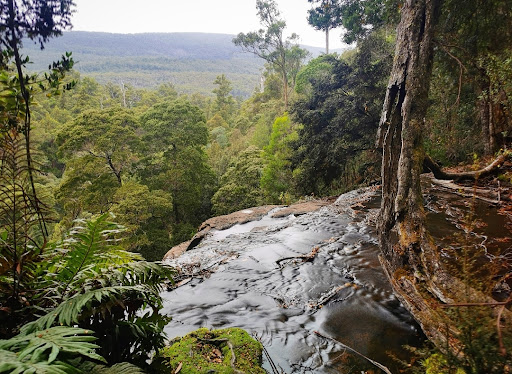 Russell Falls - Thumbnail