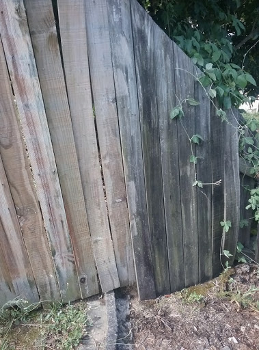 Surface Wash - Visual