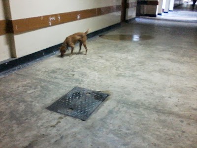 Photos of Respiratory Treatment Unit, Teaching Hospital Karapitiya