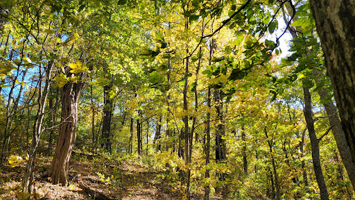 Little Pisgah Ridge Tunnel Logo