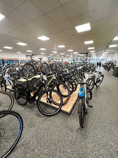 Multicycle Freising - Thumbnail