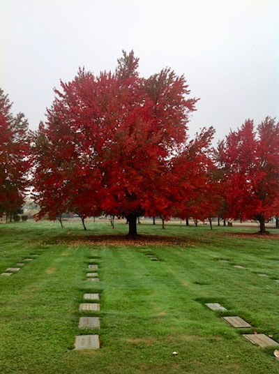 Hawthorne Memorial Gardens