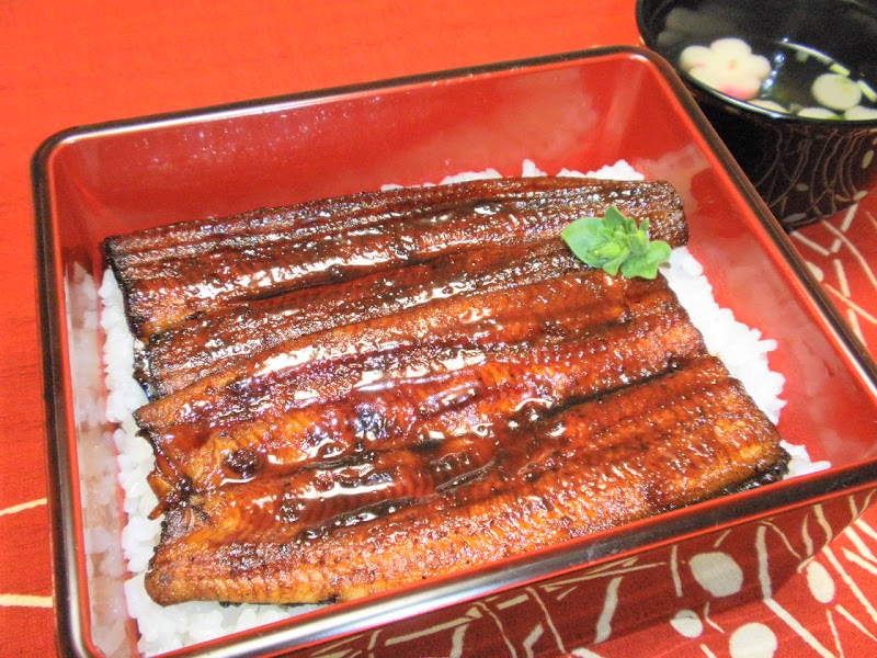 カネナカ淡水魚