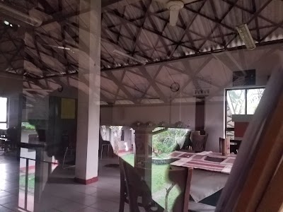 university