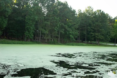 Cabin Lake County Park