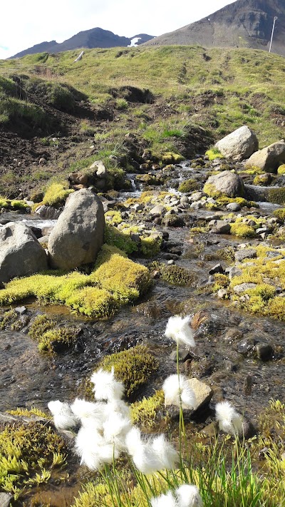 Photos of Hl&iacute;&eth;arfjall