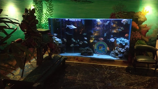 Sagar Fish Aquarium - Thumbnail