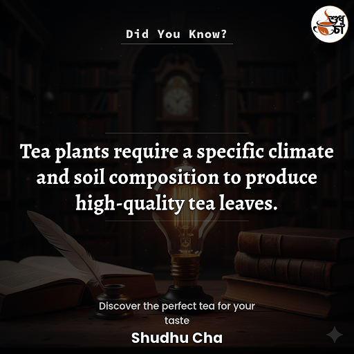 Did You Know ? post image