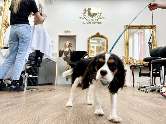 Opinii despre Hairdresser Professionnel Fryzjer Damski Męski în Gdańsk - Salon fryzjerski