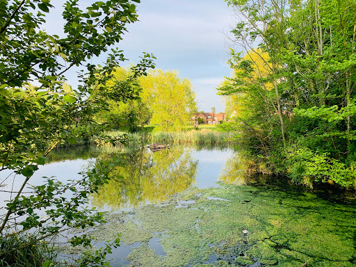 Bellfields Pond - Visual