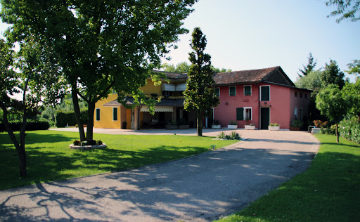 Tre Basiliche - Visual