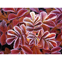 Photo n°10 de Arte services à Lambesc (Centre culturel)