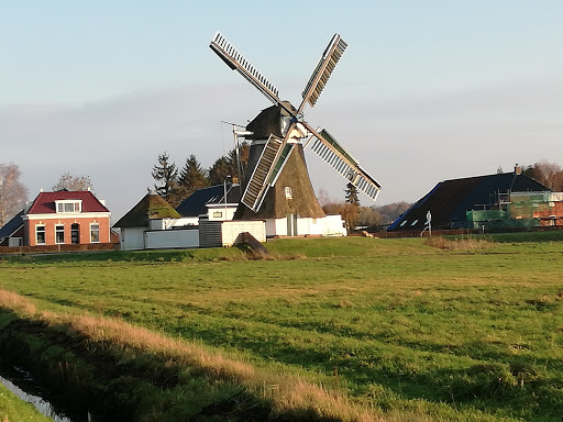 Gorechtpark - Visual
