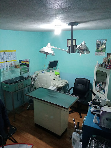 HOSPITAL VETERINARIO APETATITLÁN