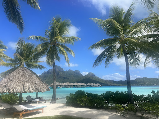 Beachfronts Travel, LLC