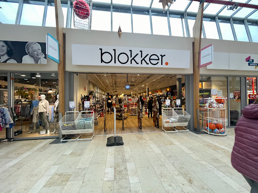 Blokker Delft Troelstralaan