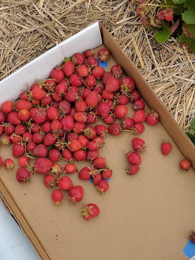 Photos of Kimball's Fruit Farm Stand