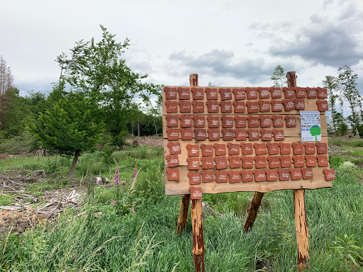 Westerwald-Kinder Hilgert - Thumbnail