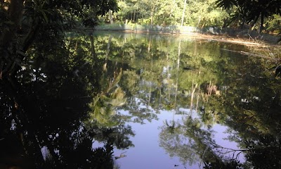 Photos of Kalamiar Pool