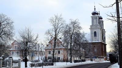 Photos of Dotnuvos Viespaties apreiskimo Svc. Mergelei Marijai baznycia