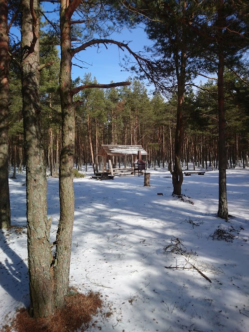 Pedassaare loodusrada