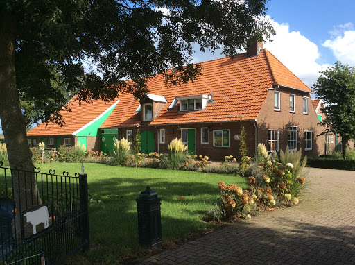 Rietwerken - Visual