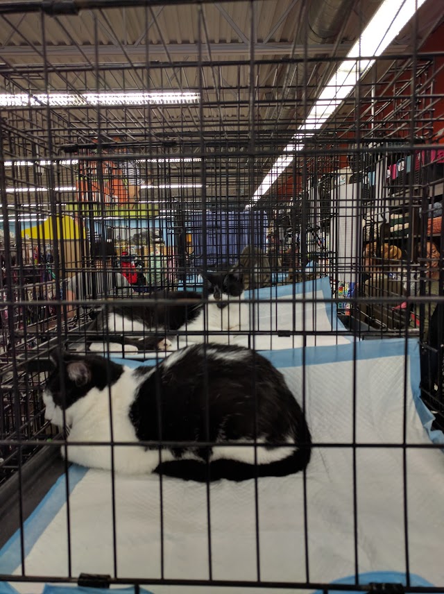Unleashed by Petco