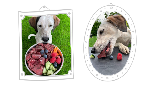 Luckydog Barfbar - Thumbnail