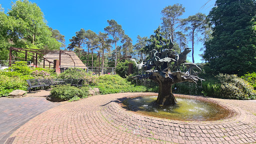 Vogel Wasserfontäne
