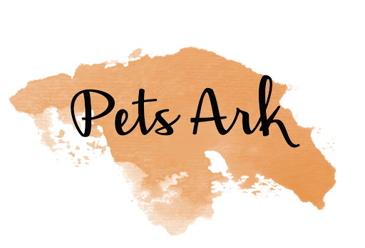 Pets Ark - Visual