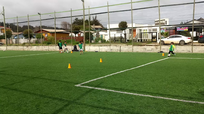 Colegio Libertadores