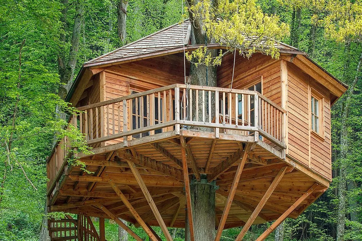 Baumhaushotel Seemühle GmbH