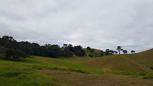 Onehunga Mangere United Sports Club Gallery - New Zealand