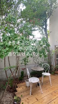 ザ・カフェ・ユーカリプタス