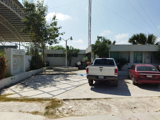 CFE CANDELARIA - Visual