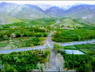 Wardak