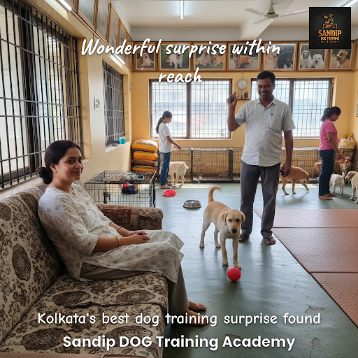 Good Service post image