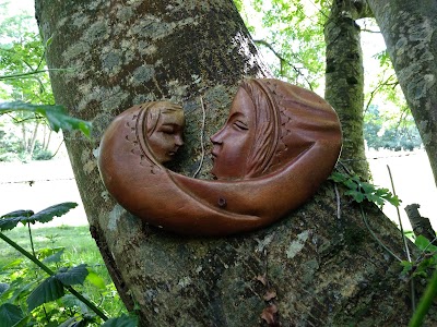 Photos of Tara Hill Walking Trail