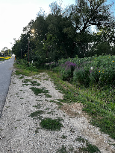 Turtle Creek Wildlife Area - Thumbnail