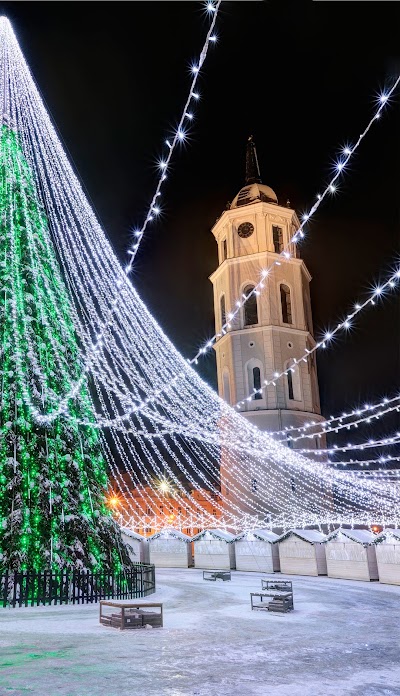 Photos of Bell Tower of Vilnius Cathedral