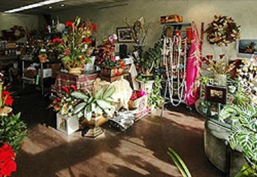 Newport Beach Flora - Thumbnail