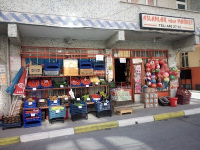 Aslanlar Mega Market