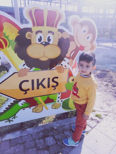 Photos of Ambar Parkı