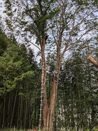 株式会社林業WADA