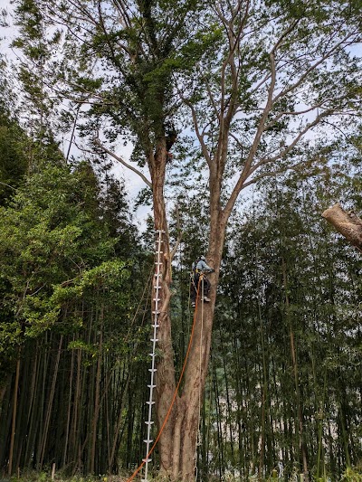 株式会社林業WADA