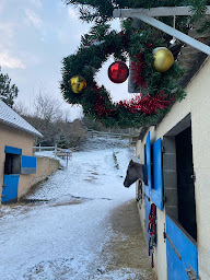 Photo n°18 de ÉQUITATION MERS-LES-BAINS à Mers-les-Bains (Centre équestre)