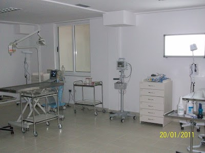 Pets & Partners Albania, International Pet Hospital Tirana