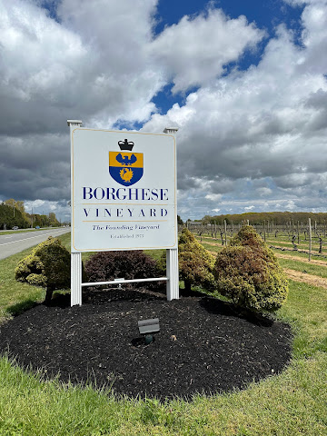 Borghese Vineyard by null